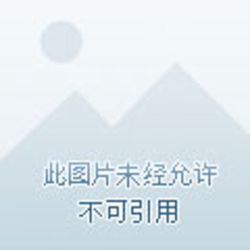 四风问题举报：构建更加清正的政治生态